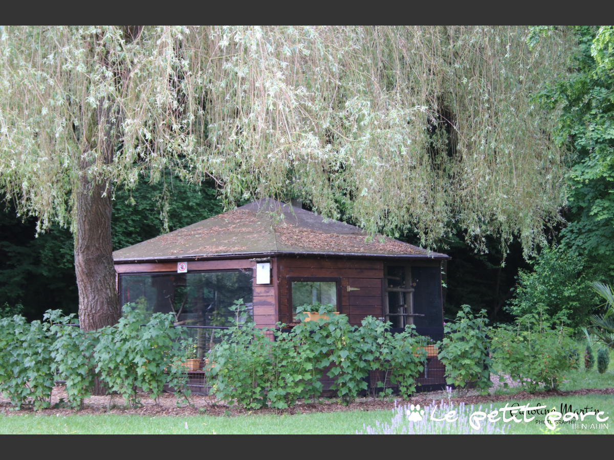blog detials image